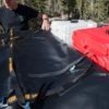 AEV Roofrack Jeep Wrangler JK - Bilde 3