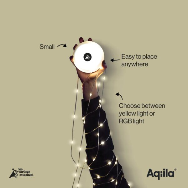 Aqiila Looplight BL2