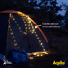 Aqiila Looplight BL2